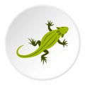 Striped iguana icon, flat style