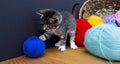 A striped kitten plays with balls of wool. Wicker basket, wooden floor and black background. Royalty Free Stock Photo