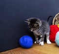 A striped kitten plays with balls of wool. Wicker basket, wooden floor and black background. Royalty Free Stock Photo