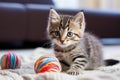 A striped kitten sits on the bed, playing with balls of multi-colored woolen threads. Little funny domestic cat in the house Royalty Free Stock Photo
