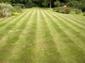 Striped lawn Royalty Free Stock Photo