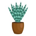 Striped leaf succulent cactus pot icon, cartoon style