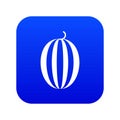 Striped melon icon digital blue