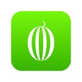 Striped melon icon digital green