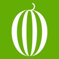 Striped melon icon green