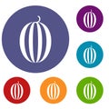 Striped melon icons set