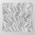 Striped Monochrome Pattern