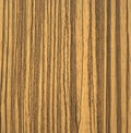 Striped oak, natural wood texture on a cut closeup Royalty Free Stock Photo