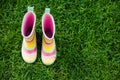 Striped rain boots Royalty Free Stock Photo