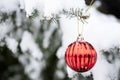 Striped red Christmas bauble hanging from snow-covered Christmas tree branch outdoors Royalty Free Stock Photo