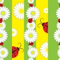 Striped seamless pattern with ladybirds Royalty Free Stock Photo