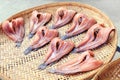 Striped snakehead fish on bamboo threshing basket in air sun for dried, dry striped snakehead fish sun dried, striped snakehead