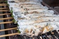 Striped snakehead fish grilled with salt. Pomegranate fish with salt and then burned for sales in the market. Thai style street f Royalty Free Stock Photo