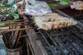 Striped snakehead fish grilled with salt. Pomegranate fish with salt and then burned for sales in the market. Thai style street f Royalty Free Stock Photo