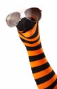 Striped sock puppet with sunglasses Royalty Free Stock Photo