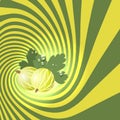 Striped spiral goosberry patisserie background.