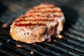 Striped steak on a grill close up