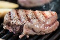Striped steak on a grill close up