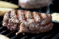 Striped steak on a grill close up