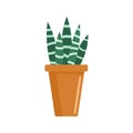 Striped succulent home pot icon, flat style