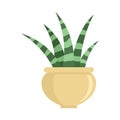 Striped succulent icon, flat style