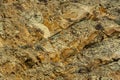 Striped texture of natural stones and debris of rocks of different sizes as the original background.