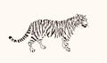 Striped tiger. Portrait of predatory wildcat. Stylized symbol of Chinese 2022 New Year. Wildlife and fauna dwellers. Vector