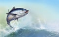 Striped tuna, Skipjack Tuna. Tuna on the background Royalty Free Stock Photo