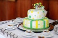 Striped wedding cake Royalty Free Stock Photo