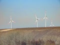 Striped wind turbines spinning in fields on a blue sky background