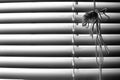 Striped window shuttering in light and shadow lines horizontal Royalty Free Stock Photo