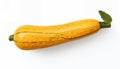 Striped yellow zucchini with fresh green leaf on white