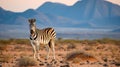 Striped Zebras in Serene Savanna at Sunset