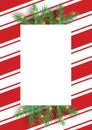 Stripes candy cane pattern with Christmas tree green branches. Diagonal straight lines Christmas background. Red and white Royalty Free Stock Photo