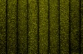 Texture dark green background with vertical stripes Royalty Free Stock Photo