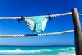 Stripped blue pants hanging on the white ropes Royalty Free Stock Photo