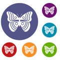 Stripped butterfly icons set Royalty Free Stock Photo