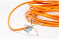 Stripped Ethernet cable with twisted wires Royalty Free Stock Photo
