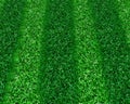 Stripped Grass Royalty Free Stock Photo