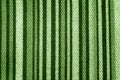 The stripped green fabric texture background