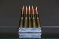 7.62X 54 R Round