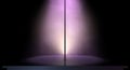 Stripper Pole Spotlit