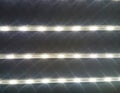 Strips of light Royalty Free Stock Photo