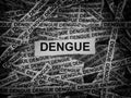 Strips of newspaper with the word Dengue typed on them. Black and white