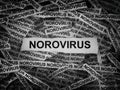 Strips of newspaper with the words Norovirus typed on them. Black and white.