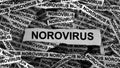 Strips of newspaper with the words Norovirus typed on them.