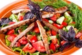 Strips of roast beef and sauteed vegetables. Salad Royalty Free Stock Photo