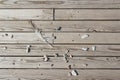 Strips of wood with stones and feather Royalty Free Stock Photo