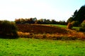 Strohner MÃÂ¤rchen, caldera shape visible through autumn colors at sunset Royalty Free Stock Photo