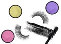 Stroke (sample) of black mascara, eyeshadows and false eyelash Royalty Free Stock Photo